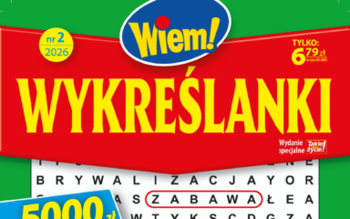 Wykreślanki